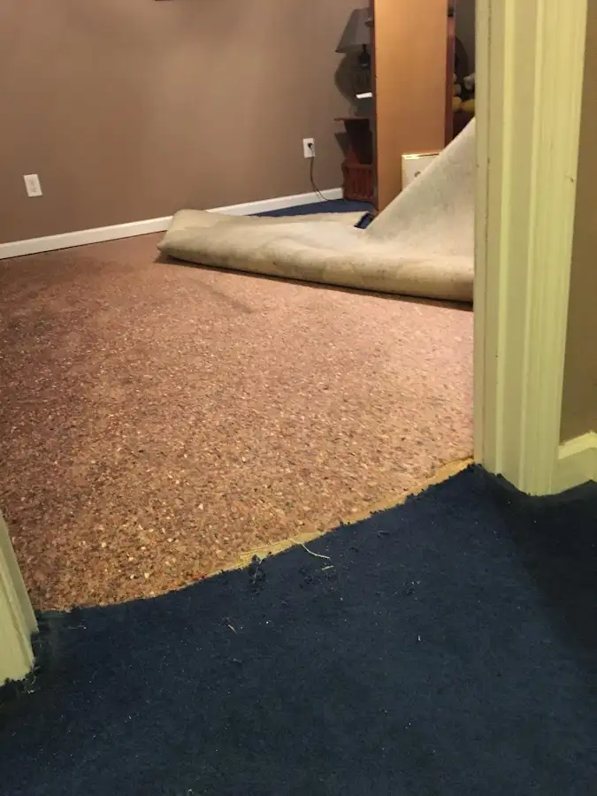 Carpet pad removal revealing water damage during Drying & Dehumidification in Hampton