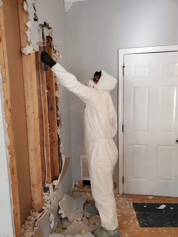 Mold Remediation & Removal in Hampton, VA